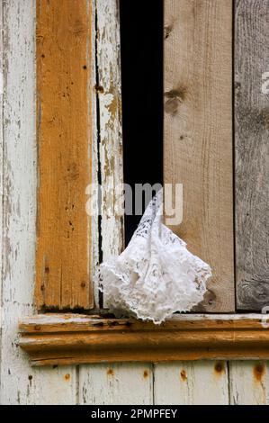 Lace curtain flutters through a crack in a window; Vaeroya, Lofoten Islands, Norway Stock Photo