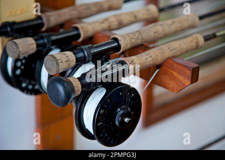 Close view of fishing rods; Belize Stock Photo