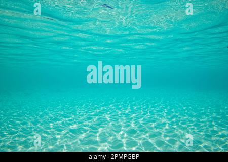 Underwater view of clear blue water and white sand; Assumption Island, Seychelles Stock Photo