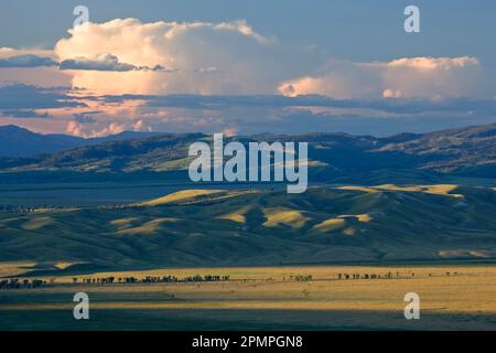 Landscape of National Elk Refuge in Jackson, Wyoming, USA; Jackson, Wyoming, United States of America Stock Photo