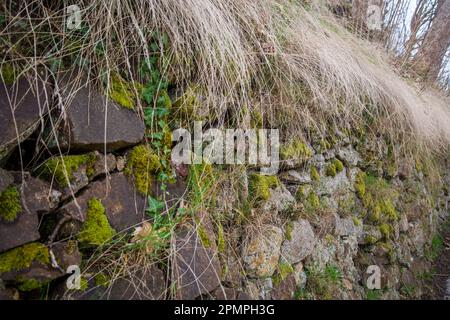 Natural stone wall in Weitra, Waldviertel, Austria Stock Photo