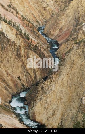 Aerial view of a winding river flowing through vibrant green ...