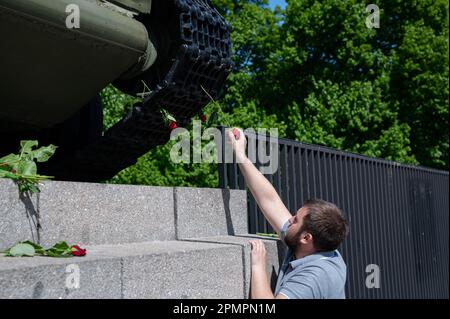 08.05.2022, Berlin, Germany, Europe - A man puts a red rose into the chain track of a T-34 tank at the Soviet War Memorial along 17 June Street. Stock Photo