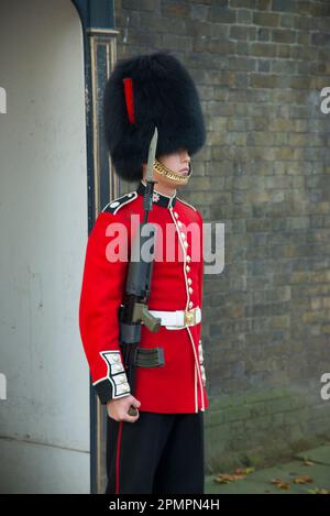 Palace guard standing at his post, Buckingham Palace; London, England ...