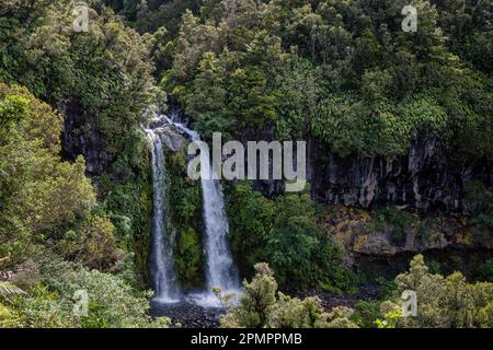 Dawson Falls, Egmont National Park, North Island, New Zealand Stock Photo