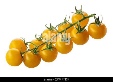 Cluster of Yellow Cherry Tomatoes isolated on white with clipping path included Stock Photo