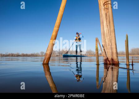 reeds on a calm lake in spring with an out of focus stand up paddler, frog perspective from an action camera at water level Stock Photo