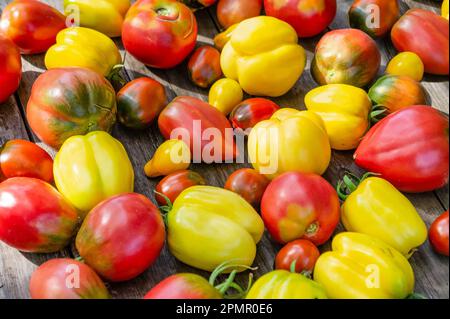 A set of different varieties of tomatoes arranged on a wooden table. Stock Photo