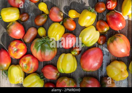 A set of different varieties of tomatoes arranged on a wooden table. Top view. Stock Photo