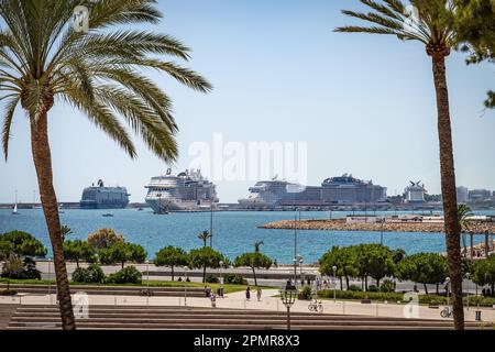 Cruise Ships at the Port of Palma in Mallorca Stock Photo