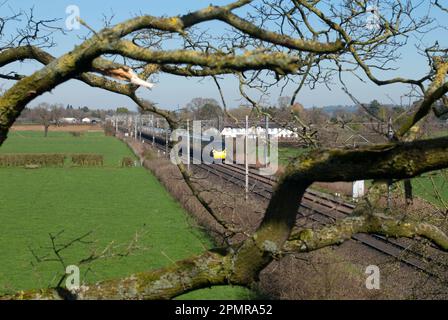 Avanti West Coast class 390 'Pendolino' on a Manchester to London Euston service passes through Snelson, Cheshire. Stock Photo