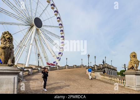 The View, Antwerp Ferris Wheel at Steenplein. Antwerp, Flemish Region, Belgium, Europe Stock Photo