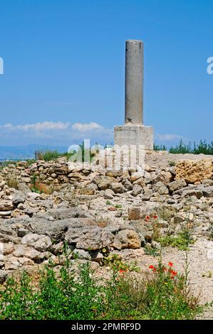 Canne della Battaglia, archaeological site, museum, Barletta, Puglia, Italy Stock Photo
