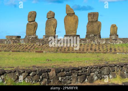 Moais in the Tahai Ceremonial Complex, Hanga Roa, Rapa Nui National Park, Easter Island, Chile, Unesco World Heritage Site Stock Photo
