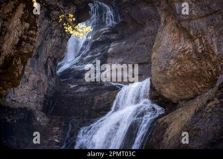 The Cave waterfall in the heart of the National Park of Ordesa and Monte Perdido, set in a rocky canyon, branches with autumn colored leaves Stock Photo