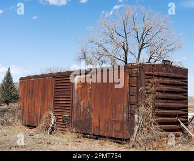 Rusted abandoned old red freight railroad train car sits out in a field with weeds around it. The sky is bright blue and trees grow in the background. Stock Photo