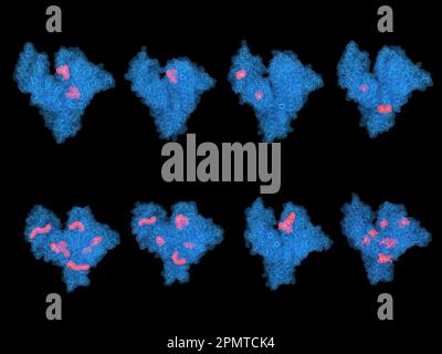 Human serum albumin protein with various ligands, illustration Stock Photo