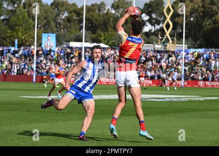 Jarrod Berry of Brisbane marks in front of Liam Shiels of North