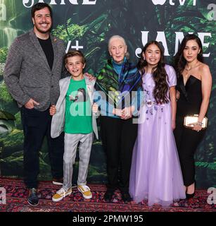 Tamara Taylor, who portrays Dr. Camille Saroyan in the television crime  drama Bones, attends the show's 100th episode celebration in West  Holywood, California on April 7, 2010. UPI/Jim Ruymen Stock Photo - Alamy