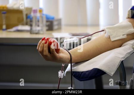 Woman blood donor in chair during donation with red bouncy ball in hand, selective focus. Concept of donorship, transfusion, health care Stock Photo