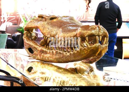 https://l450v.alamy.com/450v/2pmw4db/crocodile-skull-toothy-crocodile-muzzle-skeleton-as-an-interior-2pmw4db.jpg