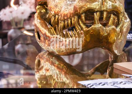 Crocodile skull. Toothy crocodile muzzle skeleton as an interior Stock  Photo - Alamy