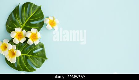Summer background with tropical frangipani flowers and green tropical palm leaves on light background. Flat lay, top view. Stock Photo