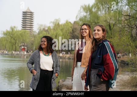 (230415) -- BEIJING, April 15, 2023 (Xinhua) -- Rafaela (L), Manuela (C) and Maria pose for a photo near the Weiming Lake of Peking University in Beijing, capital of China, March 31, 2023. Maria Eduarda Variani, Rafaela Viana dos Santos, Manuela Boiteux Pestana, and Marco Andre Rocha Germano are Brazilian students studying in the Master of China Studies program at the Yenching Academy of Peking University in China. The four of them have been interested in Chinese culture since they were young. After arriving in Beijing, they have been impressed by the Chinese capital's profound cultural he Stock Photo