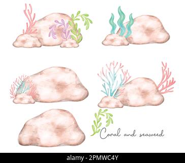 Cute colorful coral reef seaweed on rock stone pastel watercolor cartoon children hand painting illustration Stock Vector