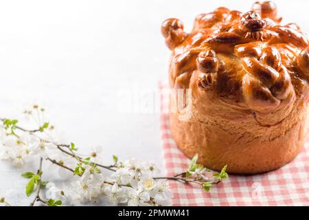 Homemade Easter cake with willow branches on a white background Stock Photo