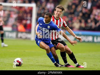 Sheffield, UK. 15th Apr, 2023. Sander Berge of Sheffield Utd (R) challenges Andy Rinomhota of Cardiff City during the Sky Bet Championship match at Bramall Lane, Sheffield. Picture credit should read: Andrew Yates/Sportimage Credit: Sportimage/Alamy Live News Stock Photo