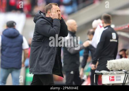 Cologne, Germany. 15th Apr, 2023. firo : April 15th, 2023, football, soccer, 1st Bundesliga: 1st FC Cologne - FSV Mainz coach: Bo Svensson Credit: dpa/Alamy Live News Stock Photo