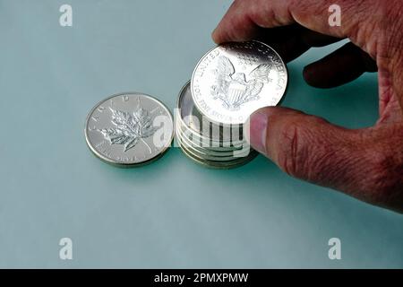 stacking silver coins. shiny 5 Dollar Silver Maple and Eagle pile. grainy dark gray glass surface. money saving concept. fingers holding five dollar Stock Photo