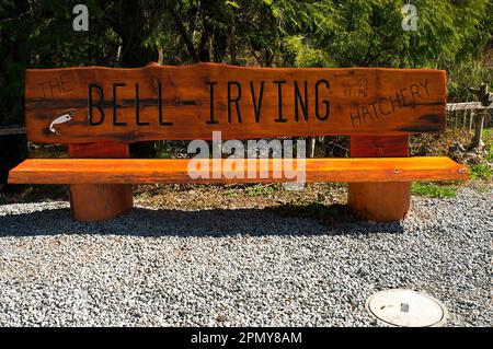 A solid wood bench, placed on a bed of gravel, with the Bell-Irving Hatchery engraved along the back.  Maple Ridge, B. C., Canada. Stock Photo