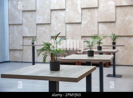 Empty modern hotel welcome lounge with high tables and indoor plants. In beige colors. Stock Photo
