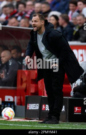 Köln, Deutschland, 1. Fussball Bundesliga 28. Spieltag 1. FC Köln : FC Mainz 05 1-1 15. 04. 2023 im Rhein Energie Stadion in Köln  Trainer Bo SVENSSON (MZ)  Foto: Norbert Schmidt, Duesseldorf Stock Photo