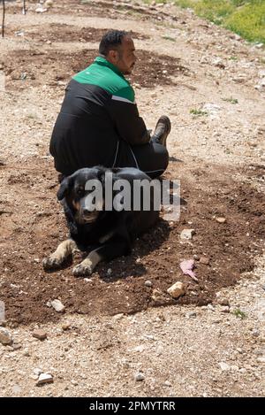 Amman, Jordan - 18 march 2023 : shepherd with his dog Stock Photo