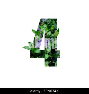 Creative number 4 four shape cutout with fresh flowers and raindrops. Beautiful flora number for your unique decoration in spring, summer or several concept ideas Stock Photo