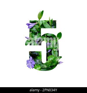 Creative number 5 five shape cutout with fresh flowers and raindrops. Beautiful flora number for your unique decoration in spring, summer or several concept ideas Stock Photo