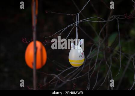 Colourful painted / decorated Easter eggs hanging from the branches of a shrub, Germany Stock Photo