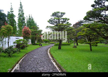 The garden's road is made of paving stone. Stock Photo