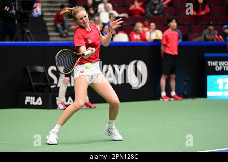 Vancouver, Canada. 15th Apr, 2023. Katerine Sebov (CAN) plays against Greet Minnen (BEL) during the 4th match at the Biillie Jean King Cup at the Pacific Coliseum in Vancouver, British Columbia on April 14, 2023, 2023. (Photo by Anne-Marie Sorvin/Sipa USA) Credit: Sipa USA/Alamy Live News Stock Photo