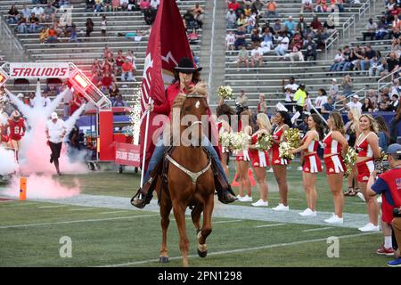 BIRMINGHAM, AL - APRIL 15: Birmingham Stallions offensive lineman Derwin  Gray (77) during the USFL game between the Birmingham Stallions and the New  Jersey Generals on April 15th, 2023 at Protective Stadium