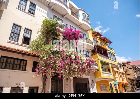 Panama City, Panama - April 1, 2023: Views of Panama City's amazing Old Quater. Stock Photo