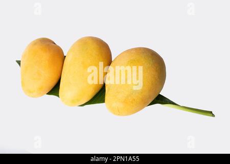 Fresh Yellow ripen Mango with leaf isolated Stock Photo - Alamy