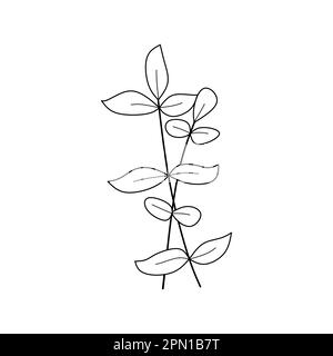 Cute flower botanical floral vector illustration outline hand drawn style design Stock Vector