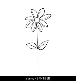 Cute flower botanical floral vector illustration outline hand drawn style design Stock Vector