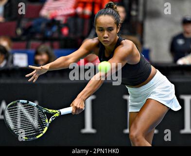 Vancouver, Canada. 15th Apr, 2023. Canada's Leylah Fernandez returns the ball to Belgium's Ysaline Bonaventure during the Billie Jean King Cup qualification round match between Canada and Belgium in Vancouver, Canada, on April 15, 2023. Credit: Andrew Soong/Xinhua/Alamy Live News Stock Photo