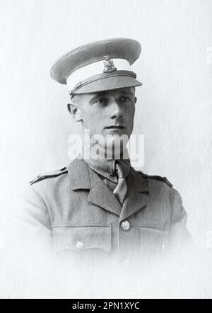 An officer cadet of the Wiltshire Regiment c. 1918. Stock Photo