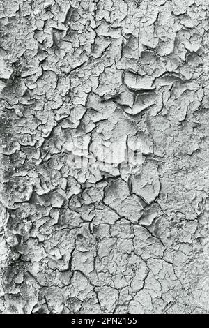 Cracked Soil, Barren Wasteland Surface. Natural Background, Texture Of Dry Cracked Soil. Desertification. Deep Cracks And Dried Soil. Ecology And Stock Photo